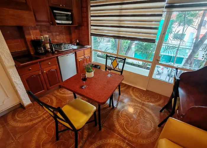 Appartement Beautiful Loft With Balcony For Relaxing Wi-fi Mexico